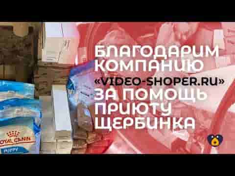 Благодарим компанию «video-shoper.ru» за помощь приюту Щербинка