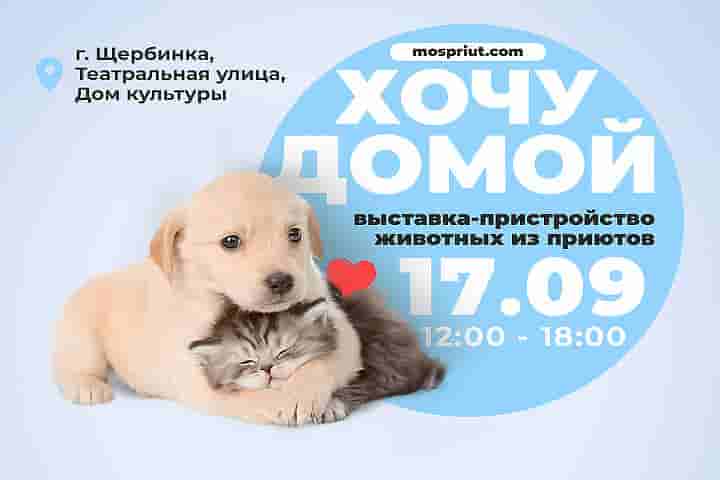Приходите на выставку животных из приютов "Хочу Домой" 17 сентября. Посмотрите кто там будет 👉