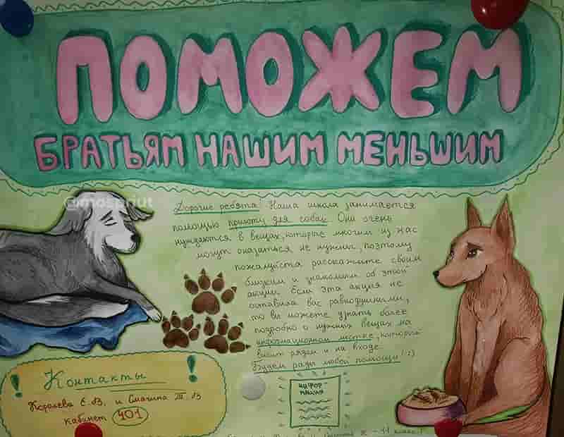 Благодарим школу №1980 за организацию помощи приюту Щербинка