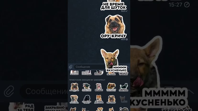Видео «Крутые стикеры для Телеграм с собаками из приюта Щербинка #shorts #mospriut #telegram»