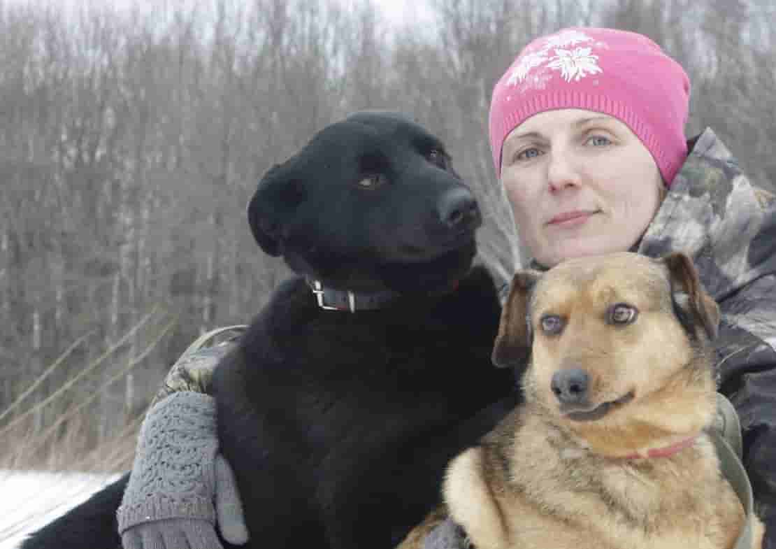 Какая помощь нужна приюту?