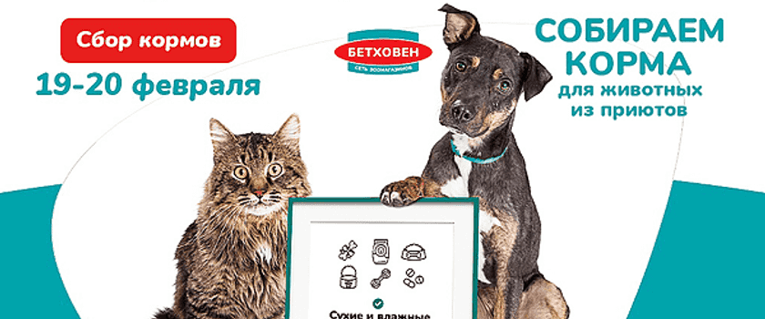 В эти выходные пройдёт акция "Клуб больших сердец" в сети зоомагазинов "Бетховен"