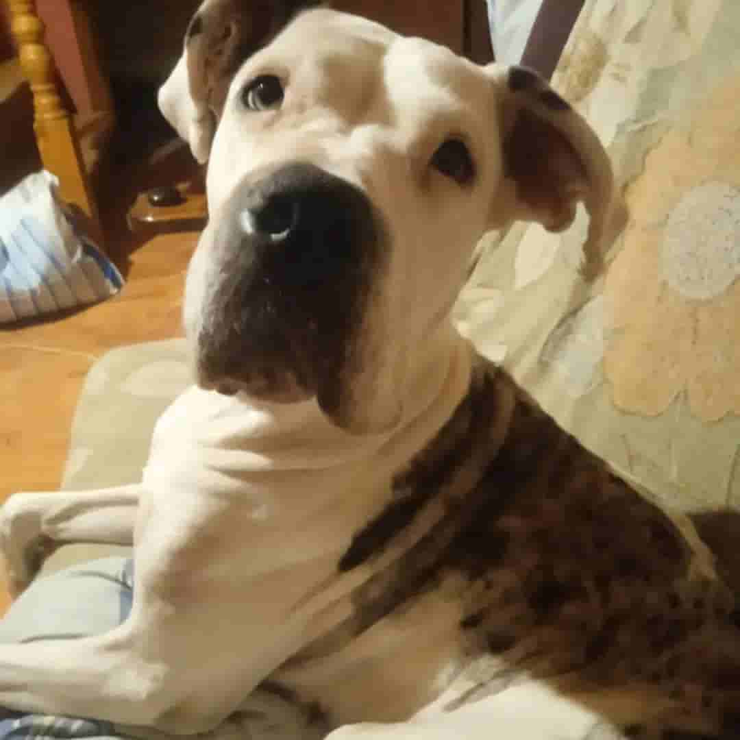 Привет из дома от Марты