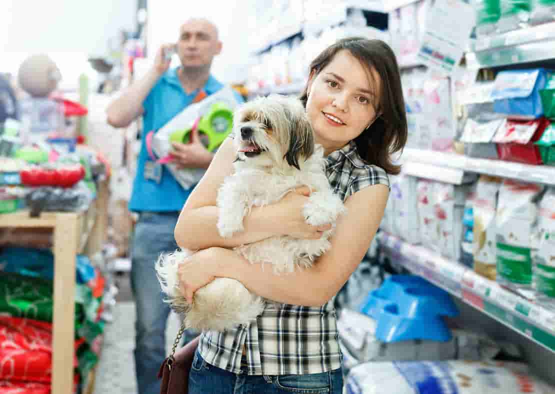 Акция "Добролап" стартовала 🐕